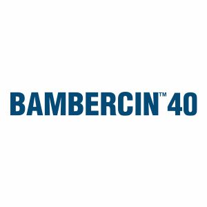 BAMBERCIN 40